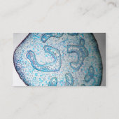 Carte de visite de scientifique (Dos)