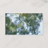 Carte de visite de série de cheveux rayés (Dos)