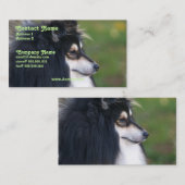 Carte de visite de Sheltie (Devant / Derrière)