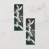 Carte de visite de signet de fleur d'Armandii de (Devant / Derrière)