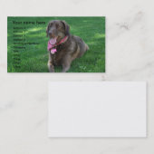 Carte de visite de soin des animaux familiers (Devant / Derrière)