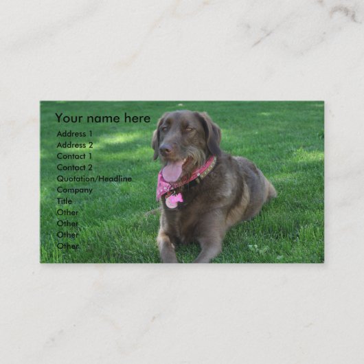 Carte de visite de soin des animaux familiers (Devant)