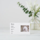 Carte de visite de sourire de Bichon Frise (Debout devant)