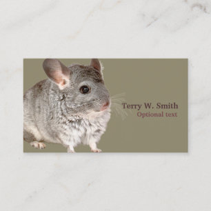 Carte de visite de souris