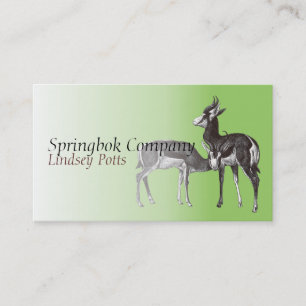 Carte de visite de springbok