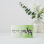 Carte de visite de springbok (Debout devant)