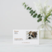 Carte de visite de St Bernard (Debout devant)