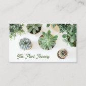 Carte de visite de succulents Plante feuillus (Devant)