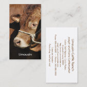 Carte de visite de taureau du Limousin (Devant / Derrière)