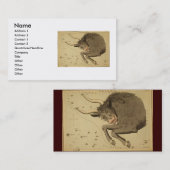 Carte de visite de Taurus (Devant / Derrière)