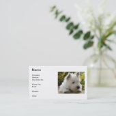 Carte de visite de Terrier blanc de montagne (Debout devant)