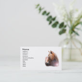 Carte de visite de tête de cheval (Debout devant)
