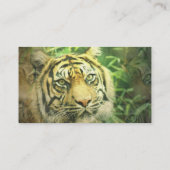 Carte de visite de tigre sibérien (Dos)