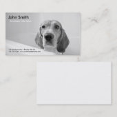 Carte de visite de toilettage d'animal familier de (Devant / Derrière)