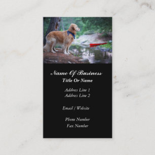 Carte de visite de toilettage de chien