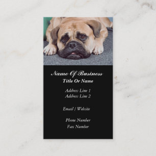 Carte de visite de toilettage de chien