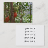 Carte de visite de tomates (Devant / Derrière)