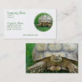 Carte de visite de tortue (Devant / Derrière)