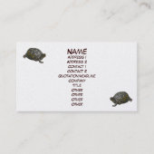 Carte de visite de tortue à boîte orientale (Devant)