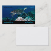 Carte de visite de tortue de mer (Devant / Derrière)