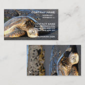 Carte de visite de tortue de mer (Devant / Derrière)
