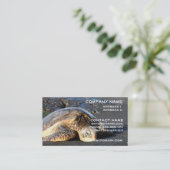 Carte de visite de tortue de mer (Debout devant)