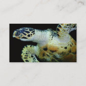 Carte de visite de tortue de mer de Leatherback (Dos)