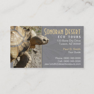 Carte de visite de tortue/tortue