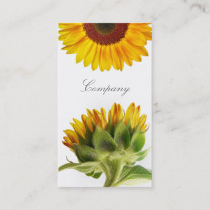 Carte de visite de tournesol