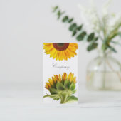 Carte de visite de tournesol (Debout devant)
