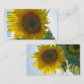 Carte de visite de tournesol (Devant / Derrière)