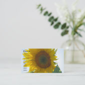Carte de visite de tournesol (Debout devant)