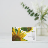 Carte de visite de tournesol (Debout devant)