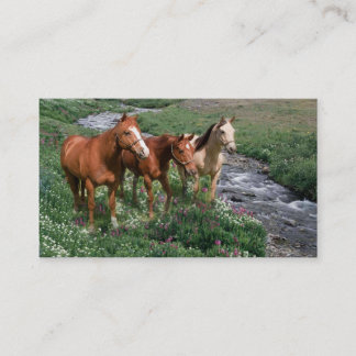 Carte de visite de trio de cheval
