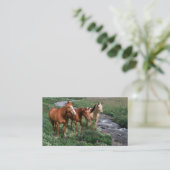 Carte de visite de trio de cheval (Debout devant)