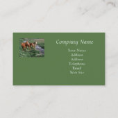 Carte de visite de trio de cheval (Dos)