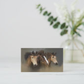 Carte de visite de trio de cheval sauvage (Debout devant)