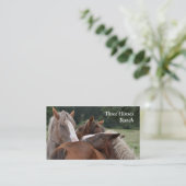 Carte de visite de trois chevaux (Debout devant)