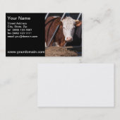 carte de visite de vache (Devant / Derrière)