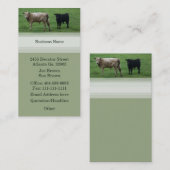 Carte de visite de vache (Devant / Derrière)