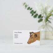 Carte de visite de vache laitière (Debout devant)