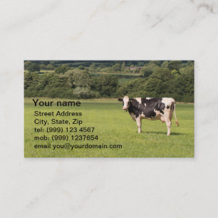 Carte de visite de vache laitière