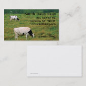 Carte de visite de vaches laitières (Devant / Derrière)