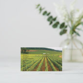Carte de visite de vignoble (Debout devant)