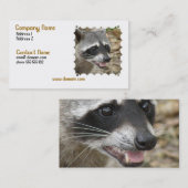 Carte de visite de visage de raton laveur (Devant / Derrière)