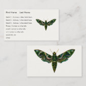Carte De Visite Deilephila Nerii - Oleander Hawk-Moth (Devant / Derrière)