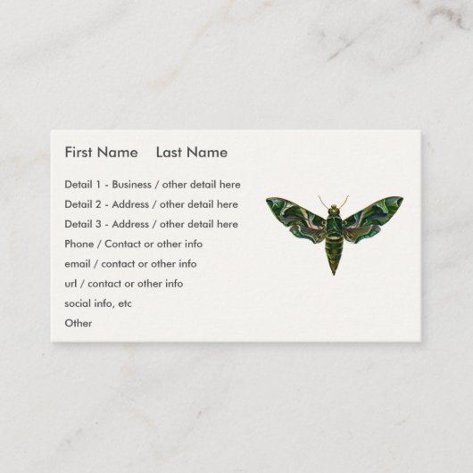 Carte De Visite Deilephila Nerii - Oleander Hawk-Moth (Devant)