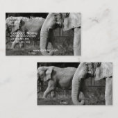 Carte de visite d'éléphant asiatique (Devant / Derrière)