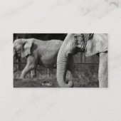 Carte de visite d'éléphant asiatique (Dos)