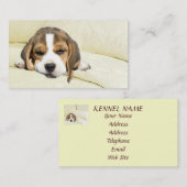 Carte de visite d'éleveur de beagle (Devant / Derrière)